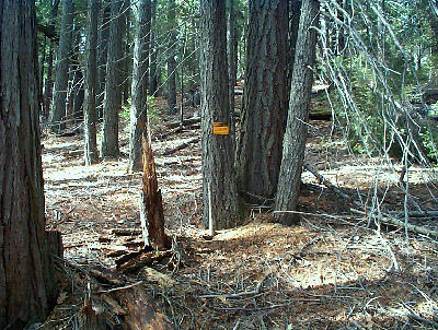 Gravesite