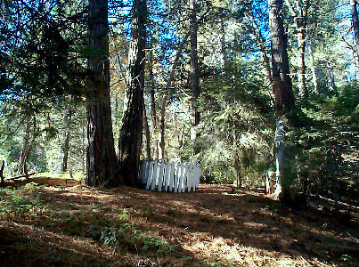 Gravesite